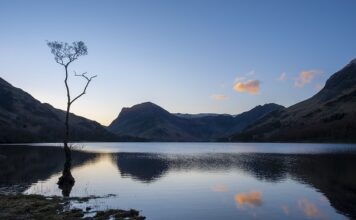 Czy maślanka zbija cukier?