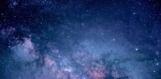 Ile kosztuje badanie wzroku u psa?