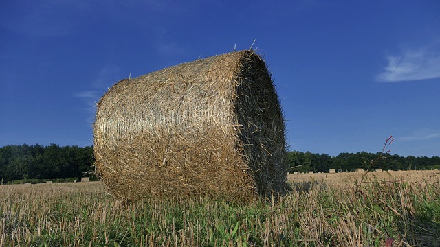 Ile kosztuje balot siana 2023? Ile kosztuje balot siana 2023?