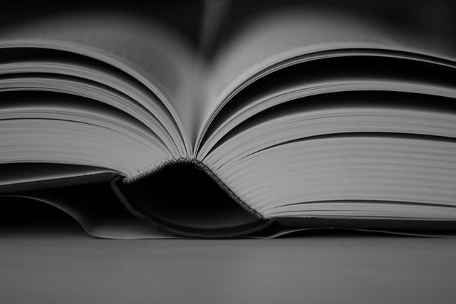 Co można kupić w KIK? Co można kupić w KIK?