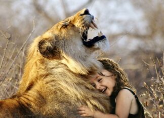 Co jest lepsze Żelfix czy Dżemix?